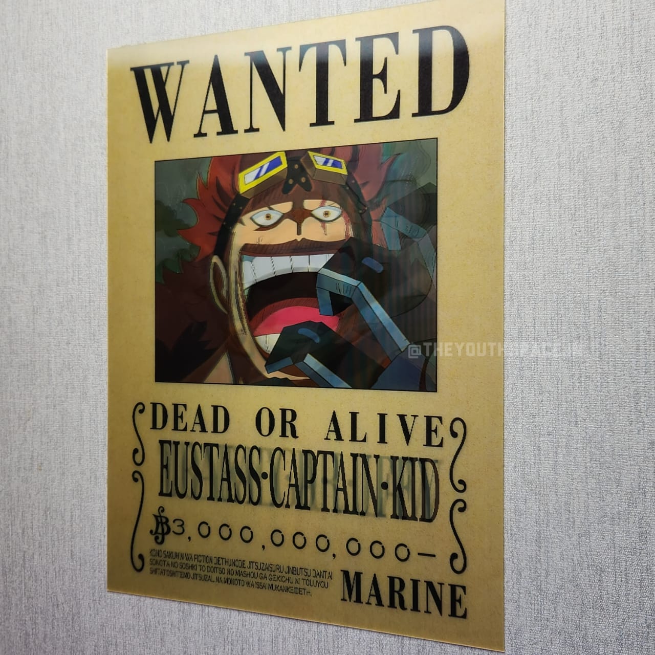 Luffy, Law & Kid Bounty 3D Motion Wall Poster