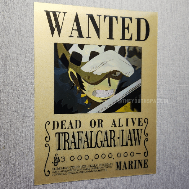 Luffy, Law & Kid Bounty 3D Motion Wall Poster