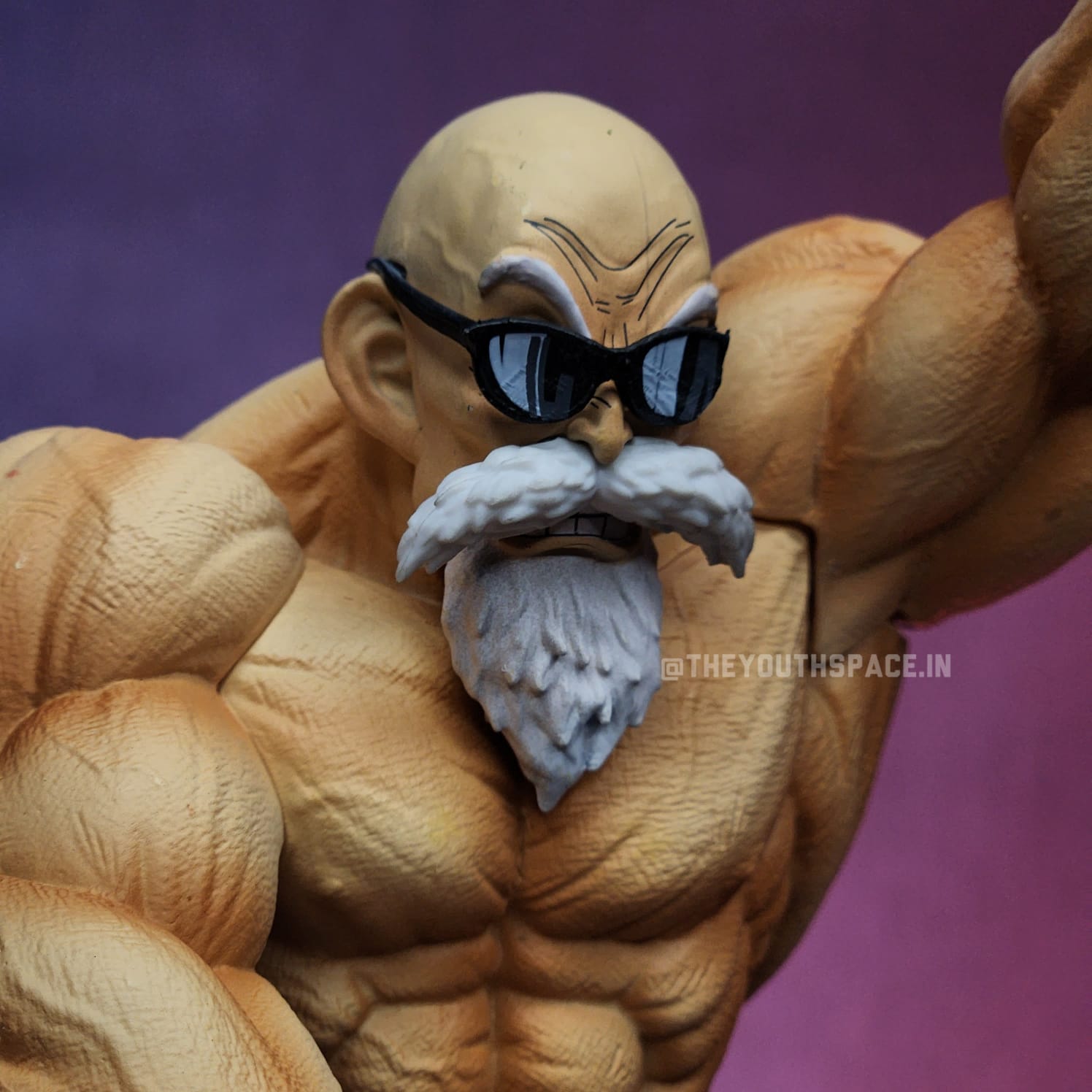 Dragon Master Roshi Action Figure Kame Sennin (26 cm) - Dragon Ball